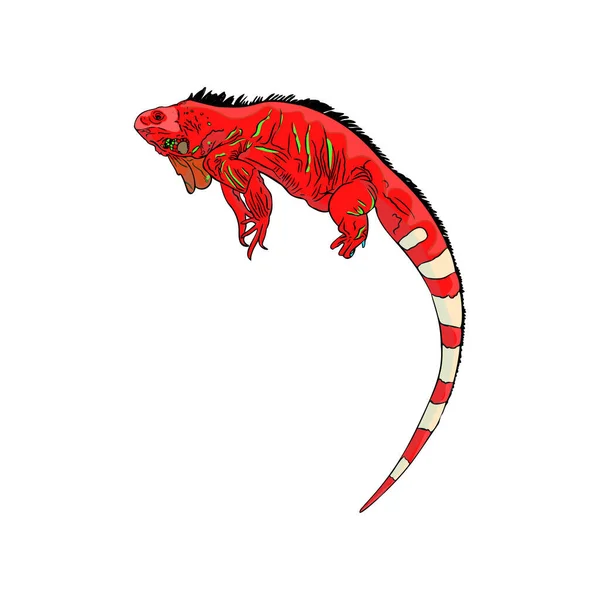 Vector Illustration Iguana Tropical Lizard Isolated Exotic Animal Line Printing — Stockvektor