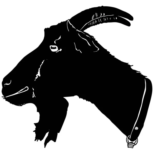 Goat Vector Illustration Farm Animal Clipart Blank Designers Logo Emblem — 스톡 사진