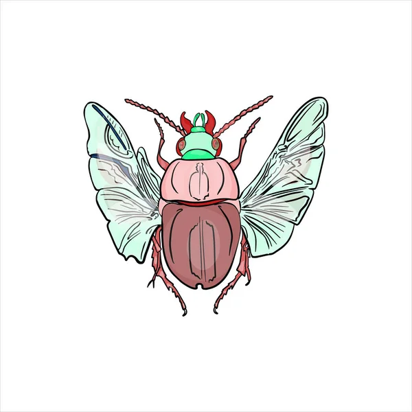 Illustration Vectorielle Isolée Scarabée Sur Fond Blanc Insecte Comme Logo — Image vectorielle