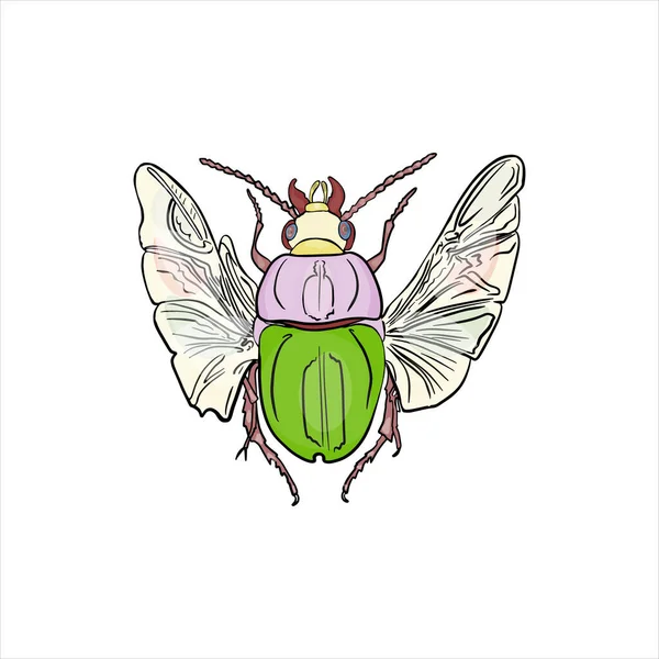 Beetle Απομονωμένη Διανυσματική Απεικόνιση Λευκό Φόντο Έντομα Λογότυπο Εκτύπωση Έμβλημα — Διανυσματικό Αρχείο