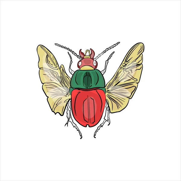 Beetle Απομονωμένη Διανυσματική Απεικόνιση Λευκό Φόντο Έντομα Λογότυπο Εκτύπωση Έμβλημα — Διανυσματικό Αρχείο
