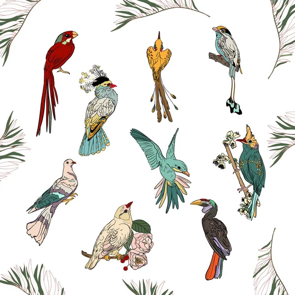 Vector Illustration Birds Paradise Flowers Isolated White Background Exotic Birds — Stockfoto