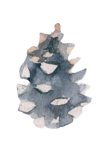 워터 컬러 소나무 콘이야. 흰색 수채화의 삽화 — 스톡 사진