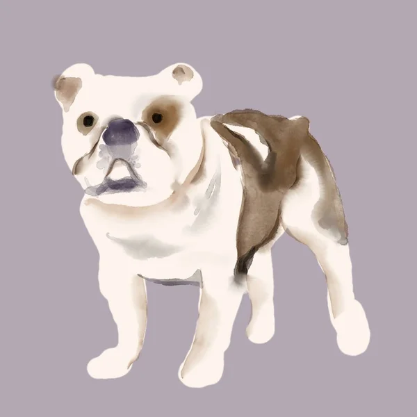 Hund illustration. Söta hem djur dekorationer konst — Stockfoto