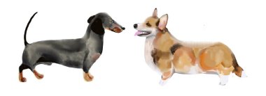 Tasarımcı köpek koleksiyonu beyaza izole edilmiş. Skeç biçimi ögesi 