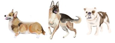 Tasarımcı köpek koleksiyonu beyaza izole edilmiş. Skeç biçimi ögesi 