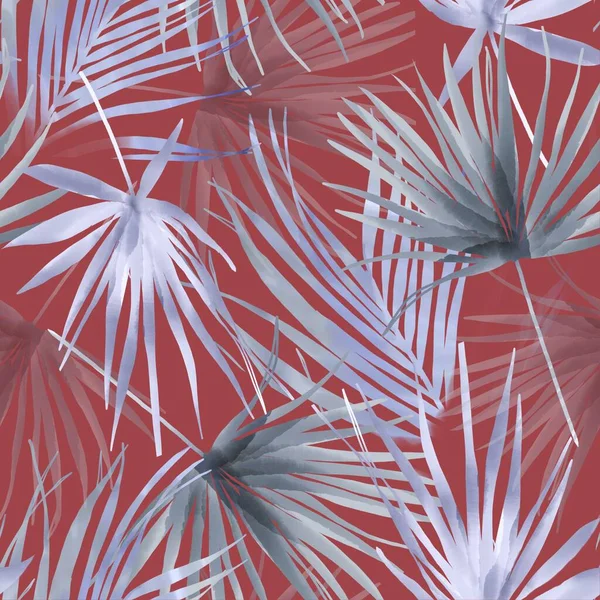 Affiche aquarelle feuilles de palmier séchées florales Images De Stock Libres De Droits