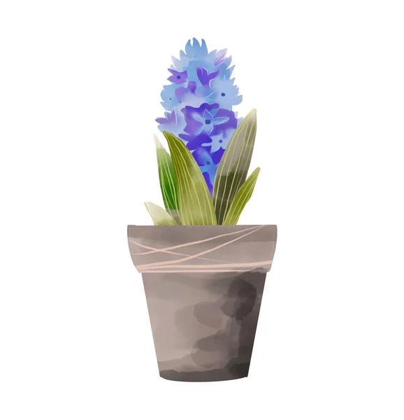 Spring flower in pot garden illustration on white — Stok Foto