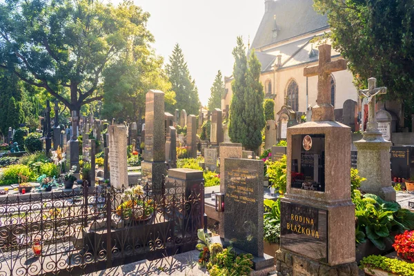 Cimitero di Vysehrad, Praga, Repubblica Ceca - panorama del cimitero con tombe di personaggi famosi — Foto Stock
