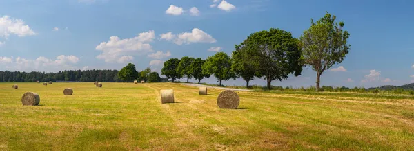 Paesaggio estivo con un campo con balle di paglia, un viale alberato lungo la strada e cielo blu con nuvole bianche, giornata di sole — Foto Stock