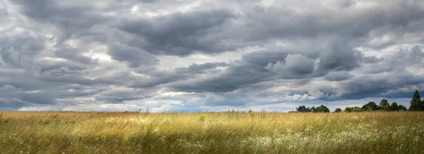 Panorama krajiny s loukou s vysokou trávou, zatažená obloha — Stock fotografie