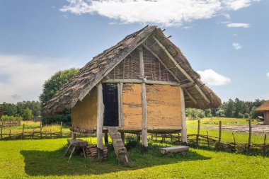 Çek Cumhuriyeti 'nin Nasavrky kentindeki Kelt açık hava müzesinde saman sazlı çatı üzerine inşa edilmiş Kelt yükseltilmiş ev