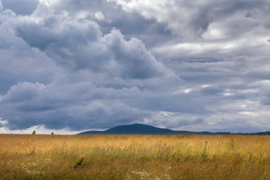Yüksek otlu çayır manzarası ve dağ Klet, Çek Cumhuriyeti, bulutlu gökyüzü