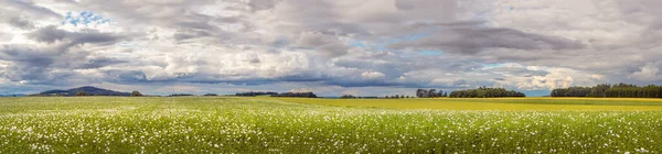 Paisaje con campo de amapola, cielo nublado — Foto de Stock