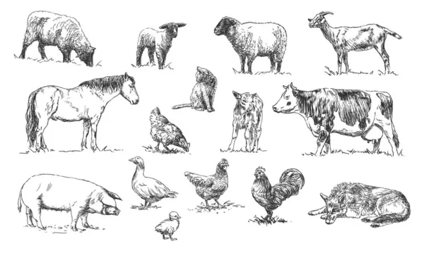 Ensemble d'animaux de ferme - illustrations dessinées à la main — Image vectorielle