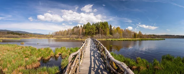 Krajina s dřevěným mostem přes vodu - lávka přes rybník Olsina, Česká republika — Stock fotografie