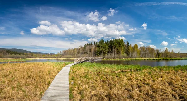 Landscape with a wooden walkway and bridge over the Olsina pond, Czech Republic — Stock fotografie