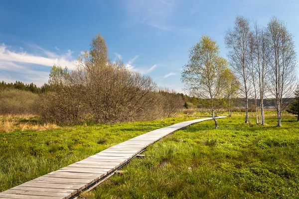 Krajina s promenádou - dřevěný chodník v mokřinách kolem rybníka Olsina, Česká republika — Stock fotografie