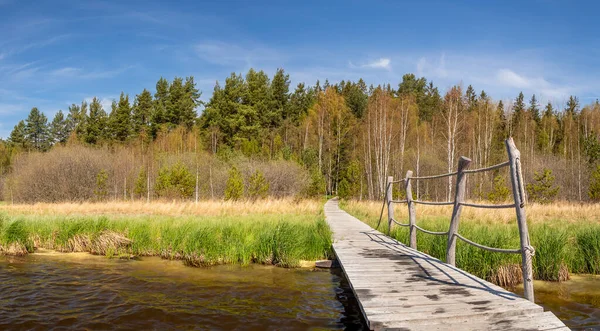 Wooden pier at Olsina pond, meadow and forest in the background, Czech Republic — Stock fotografie