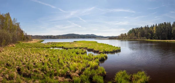 Landscape with the Olsina pond, Czech Republic — Stock fotografie