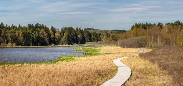 Landscape with a wooden walkway and bridge over the Olsina pond, Czech Republic — Stock fotografie
