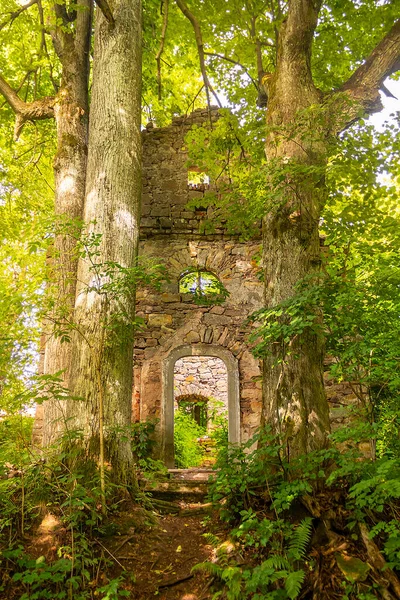 波兰捷克边境森林中一座巴洛克小礼拜堂的废墟 — 图库照片