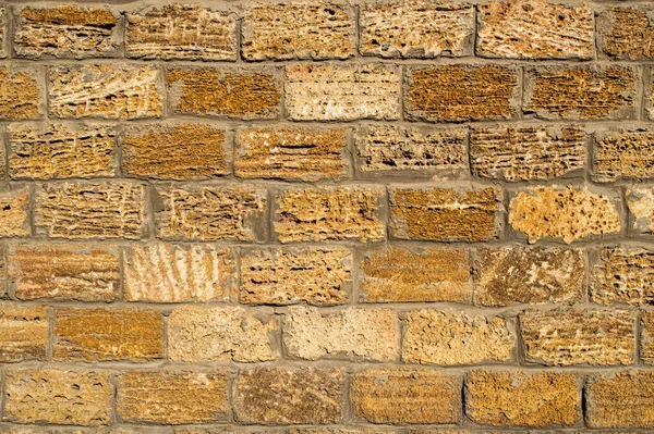 Background masonry wall of shell rock close up.