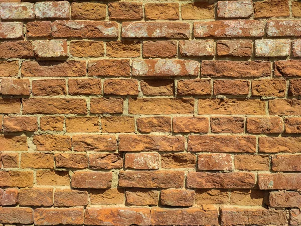 Wall Yellow Brickwork White Grout Close — Stock Photo, Image