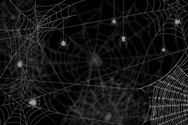 Halloween Dark Background Cobwebs Spiders Close — Stock Photo, Image