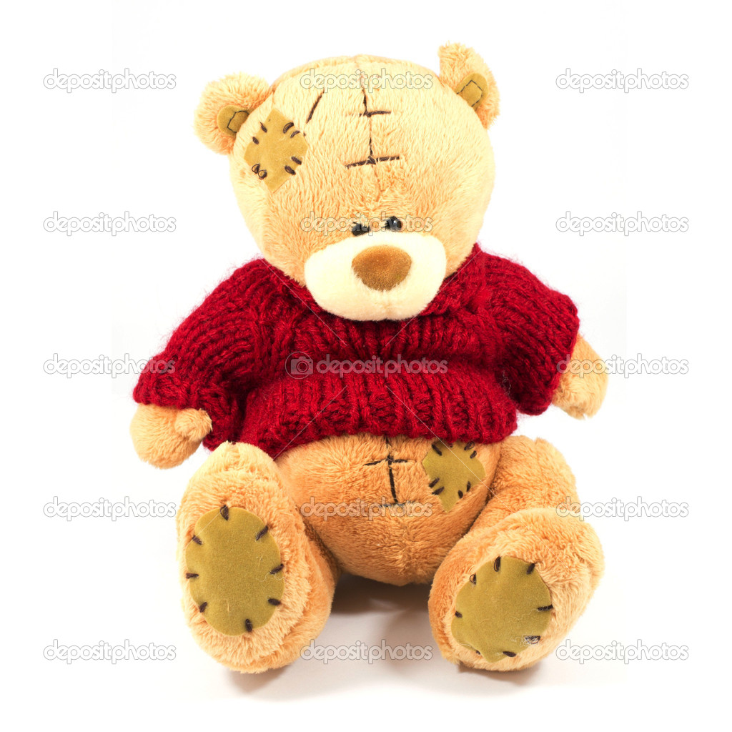 Hand made Teddy Bear on white background