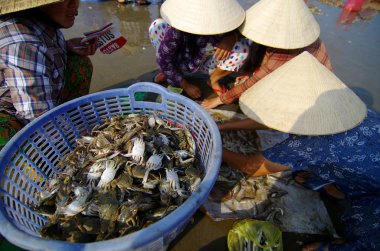 muine, vietnam - Ekim 19: tanımlanamayan balıkçı tüccar muine beach, vietnam sabah 19 Ekim 2012 müşteri ile anlaşma