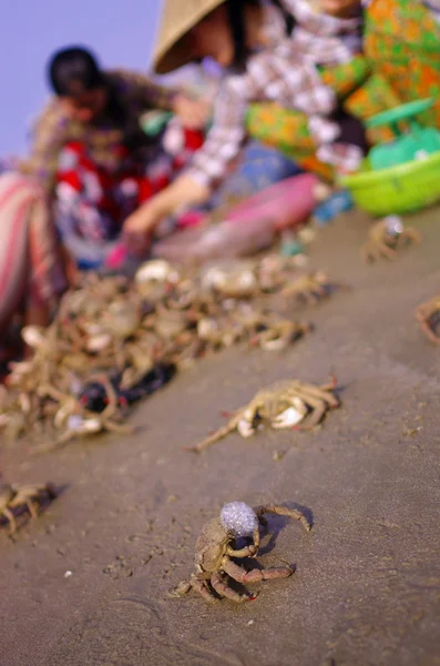 Pescador comerciante na praia de muine, vietnam — Fotografia de Stock