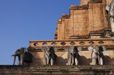 fil taşa chiang mai Tapınak, Tayland
