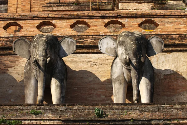 Pierre d'éléphant sur le temple Chiang mai, Thaïlande — Photo