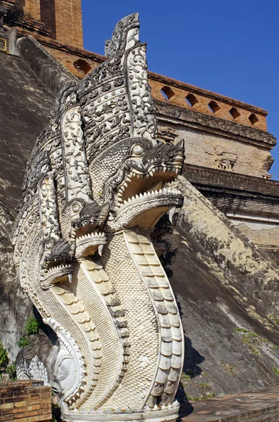 チェンマイ寺、タイの上に蛇石 — ストック写真