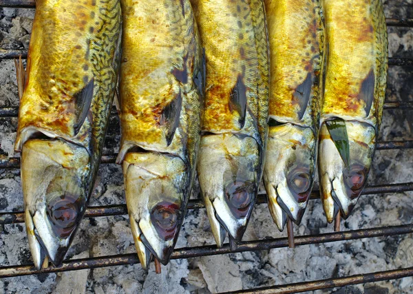 Grillad saba fisk på grillen — Stockfoto