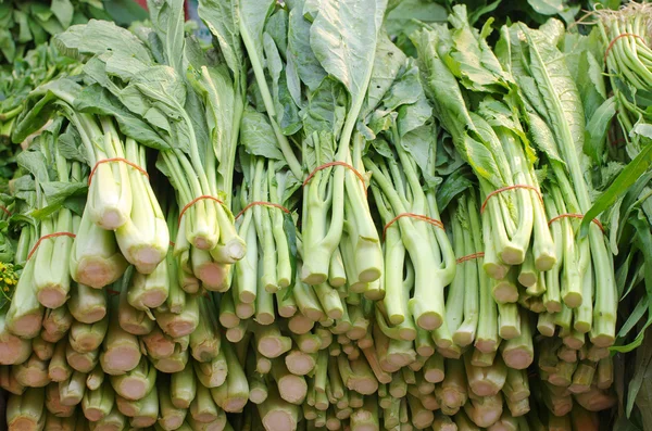 Hortalizas de brócoli chino en el mercado — Foto de Stock