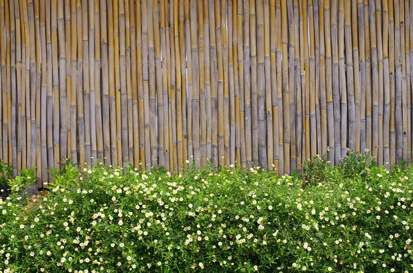 Jardín de flores frente al fondo de bambú — Foto de Stock