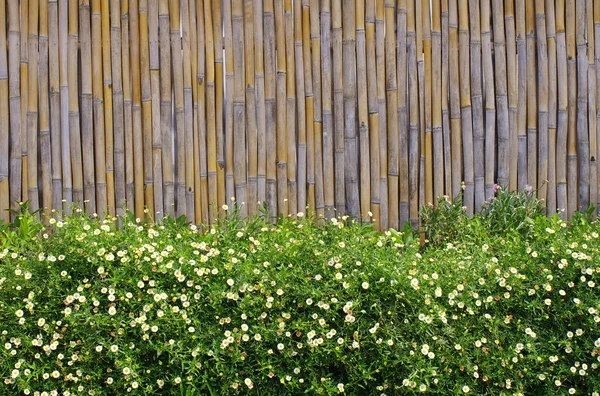 Campo de flores de margarita y marco de bambú — Foto de Stock