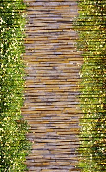 Fält av tusensköna blommor och bambu ram — Stockfoto