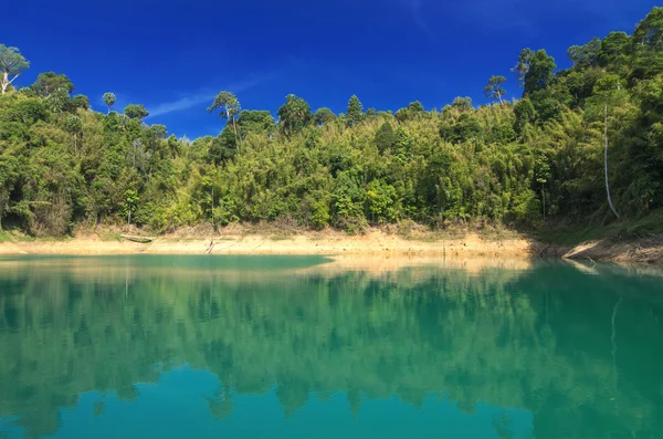 Waldlandschaft mit Spiegelung im See — Stockfoto