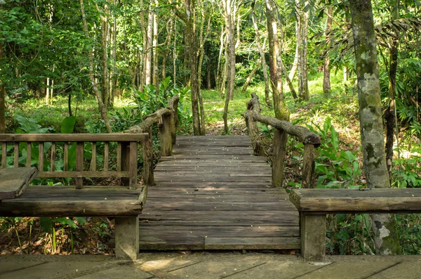 Puente de madera en el bosque, Tailandia — Foto de Stock