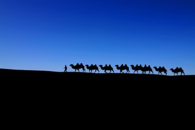 Mavi gökyüzü üzerinde deve karavan