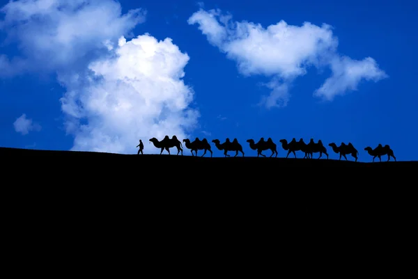 Караван верблюдов на голубом небе с облаками — стоковое фото