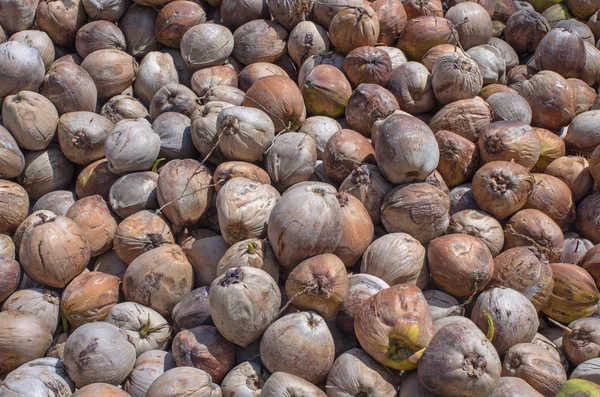 Pile de noix de coco pour l'industrie de l'huile de coco — Photo