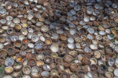 Hindistan cevizi, Hindistan cevizi yağı sanayi için kuru et yığını kabuk