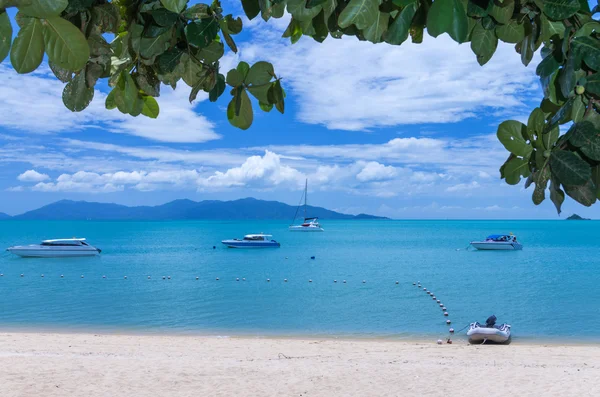 Viele Yacht-Speedboot auf dem Meer mit Bergkulisse — Stockfoto