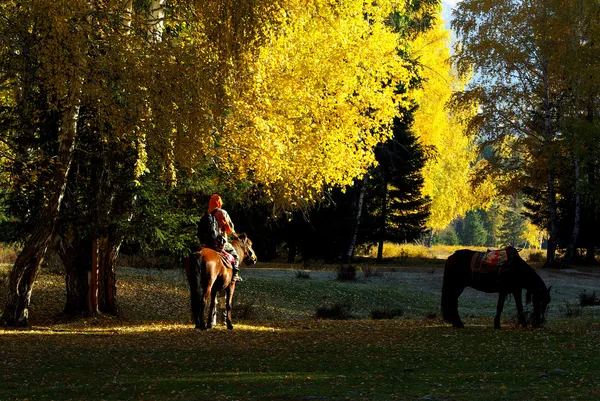ロマンチックな森で馬に乗って男 — ストック写真