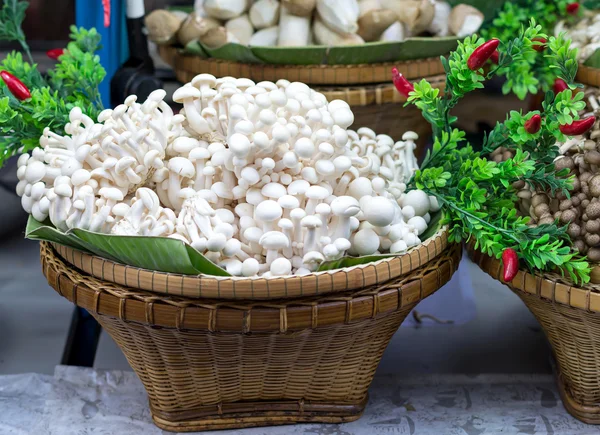 山毛榉蘑菇上篮与各种蘑菇 — 图库照片
