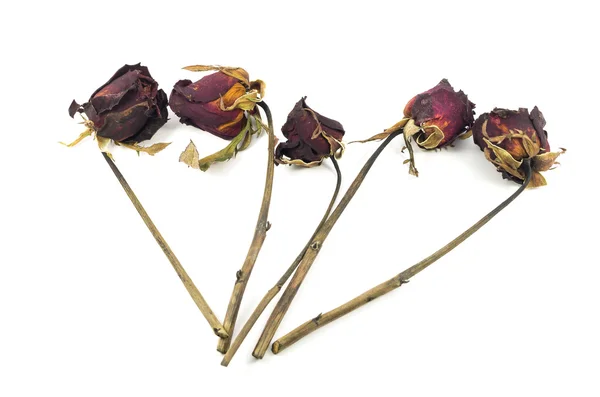 Suszone czerwona róża z serca na tle — Zdjęcie stockowe